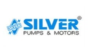 Silver Pumps and Motors